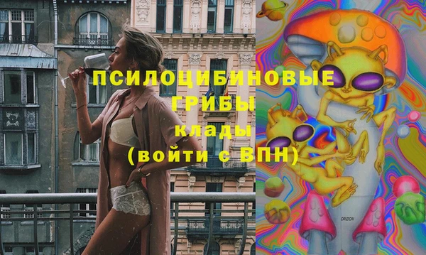 прущая мука Карпинск