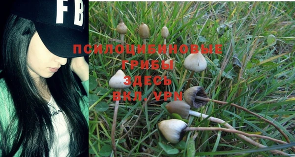 прущая мука Касимов