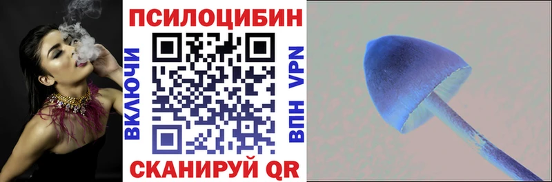 Купить где  Верещагино  Псилоцибиновые грибы Magic Shrooms 